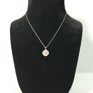 Crystal Halo Pendant Necklace